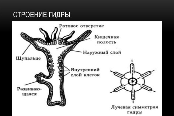 Блэк точка ком blacksprut adress com