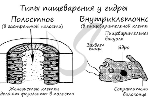 Официальная ссылка на блэкспрут