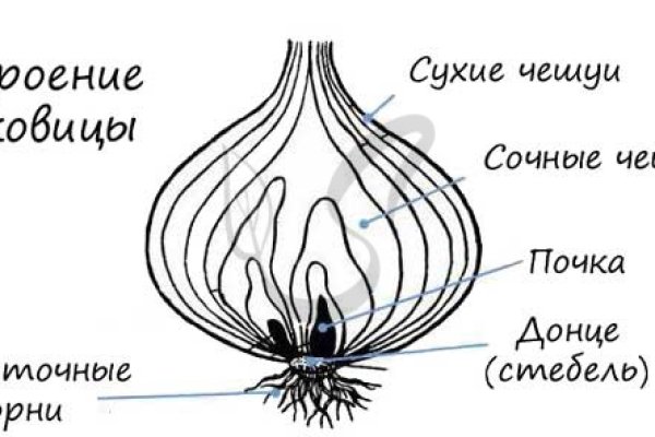 Ссылка на блэк спрут рабочая blacksprut