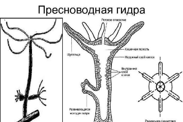 Сайт блэкспрут blacksprut adress com